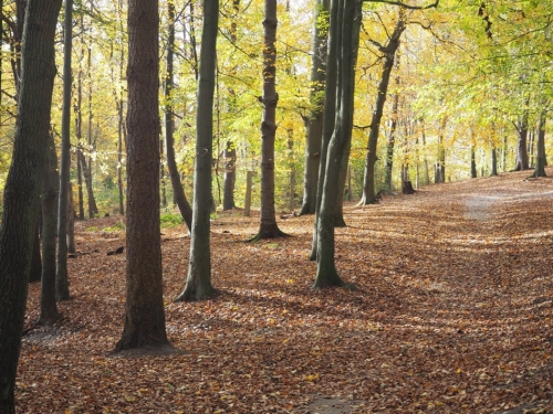 Galeriebild aus dem Wildpark Malente