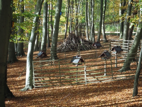 Galeriebild aus dem Wildpark Malente