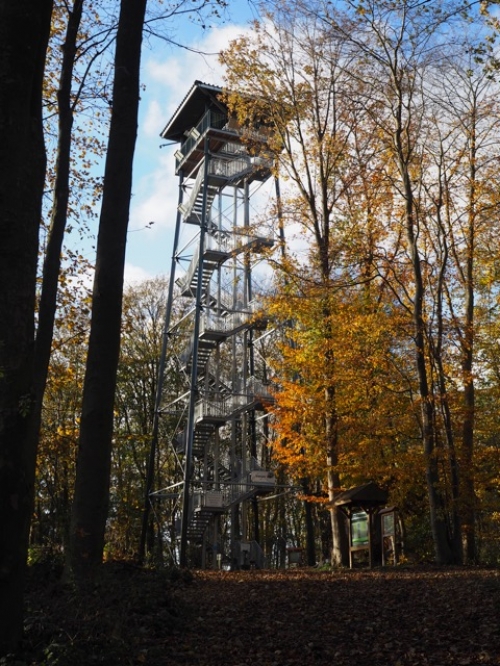 Galeriebild vom Holzbergturm Malente